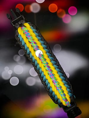 3563F3FB-684D-4FBC-924D-B7689B0534E9 Prism Crest